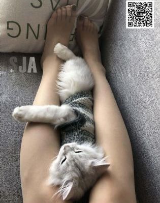 欧美野外性xxxxfeexxxx_高清高清在线